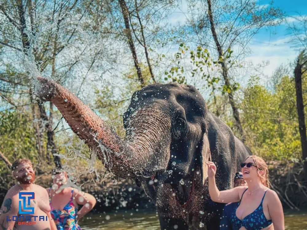 صورة Longtai Rafting, ATV, Elephant Camp Adventure Experiences in Phang Nga رقم 2