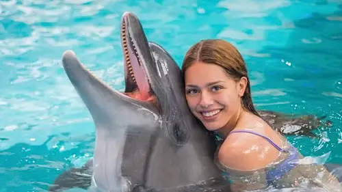 Dolphins Bay Phuket
