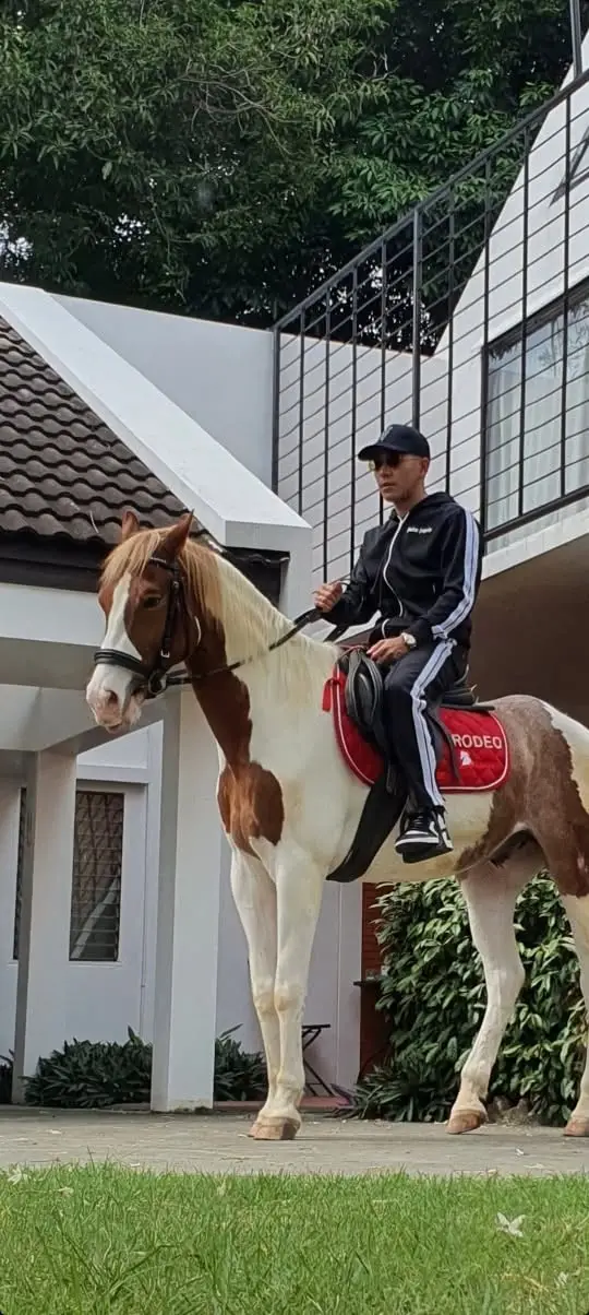 Bangkok Horse Riding Experience at Rodeo Horse Riding BKK image 2