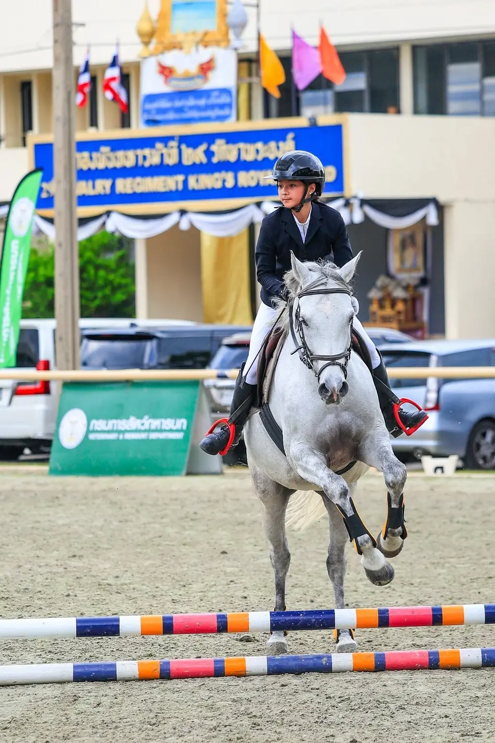 Chon Buri Horse Riding Experience at 22nd Horse Club image 2