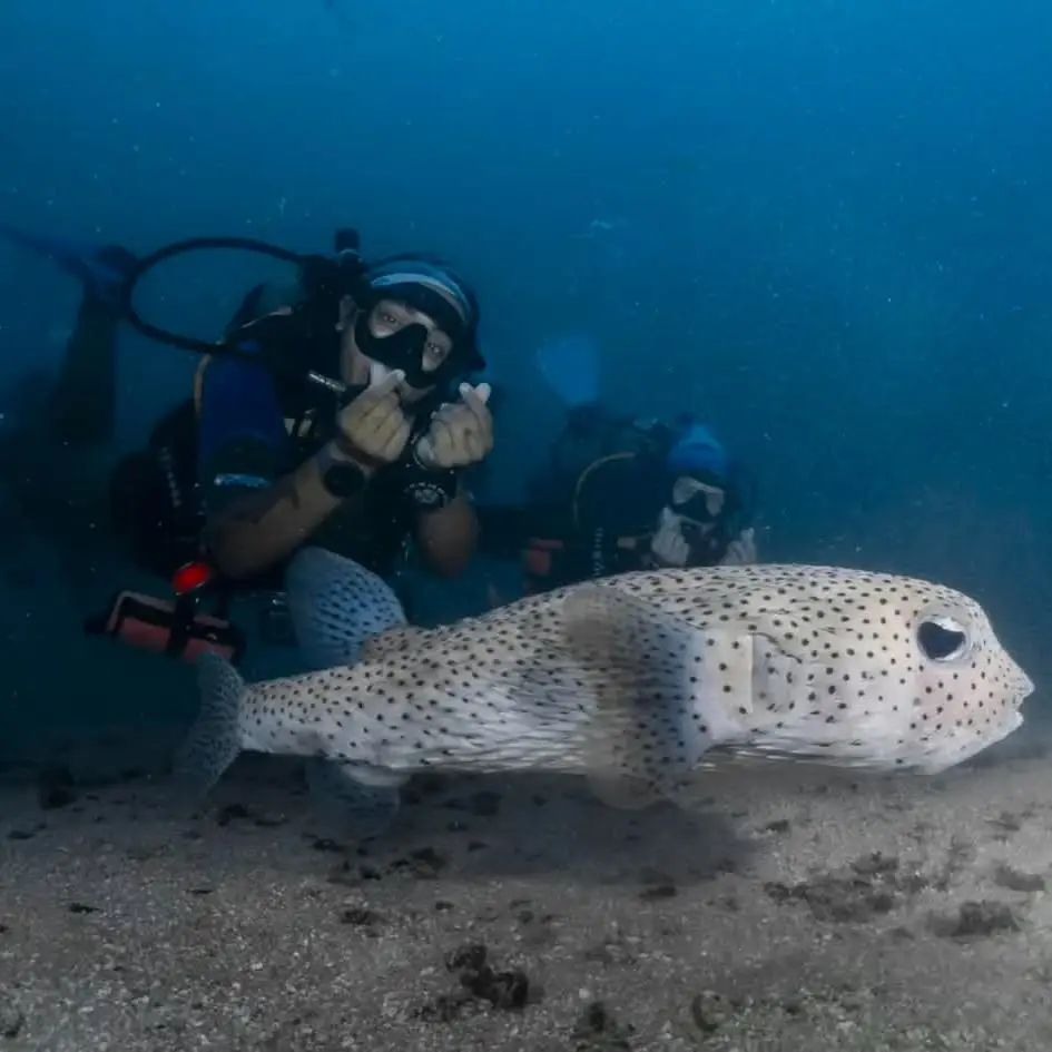 Big Blue Diving Koh Tao SSI Diving Courses, Fun Dives and Professional Training image 1