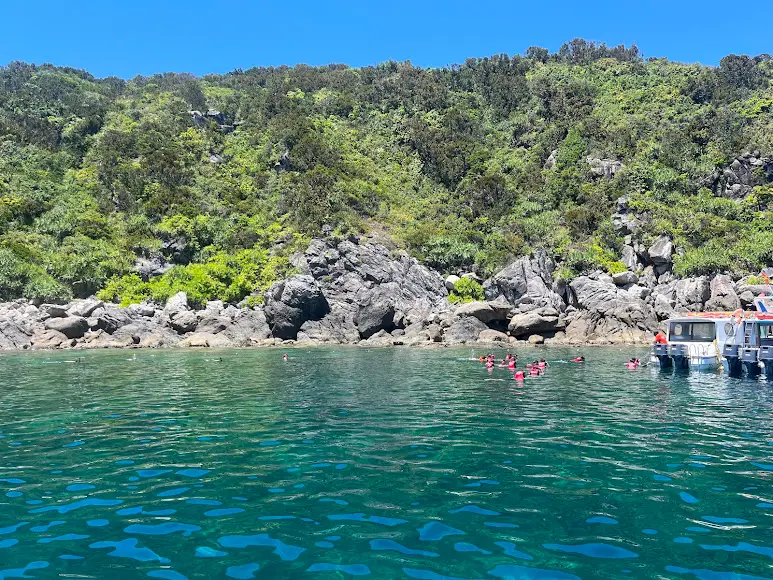 Phu Quoc Speedboat Island Hopping Tour with Snorkeling at Kim Quy and Coconut Island Bild 2