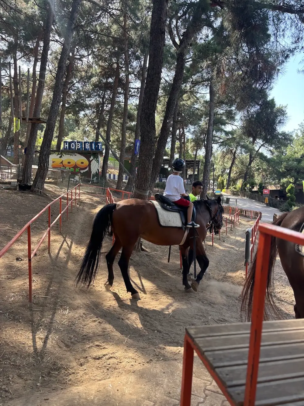Bursa Nature Horse Riding Experience at Ataturk Kent Ormani image 3