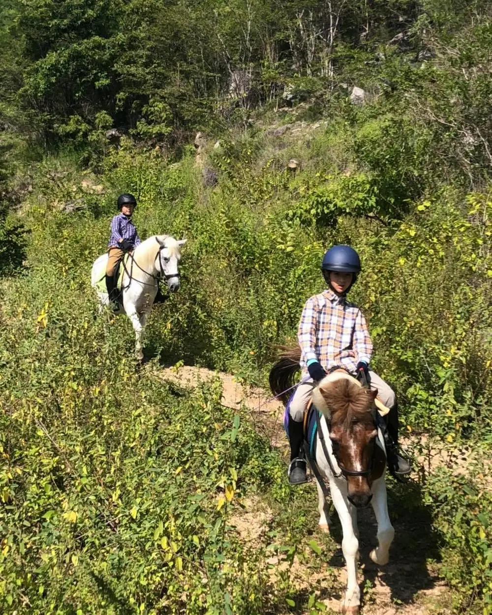 Hua Hin Horse Riding Experience at Hua Hin Horse Club image 2