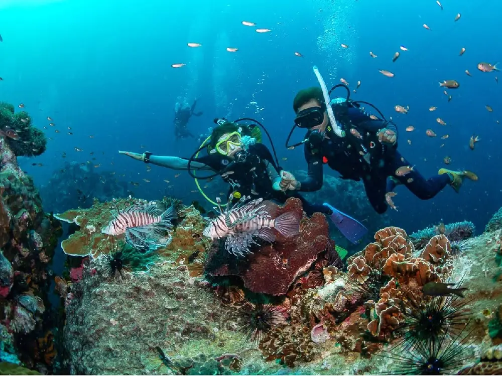 Koh Tao PADI Diving Courses and Fun Dives by Coral Grand Divers image 1