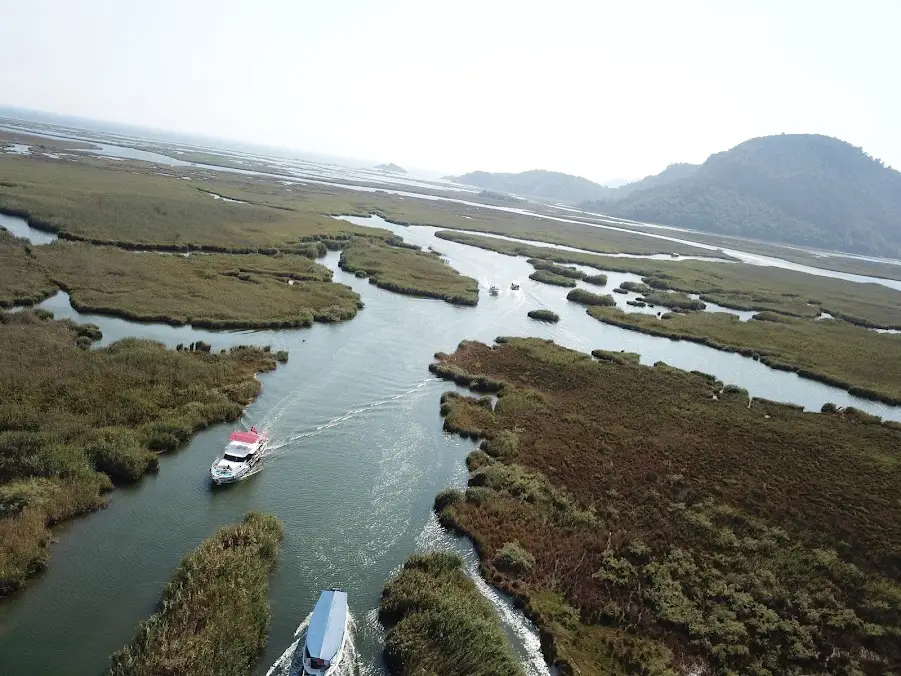 Dalyan Ege Kaptan Private Boat Tours | Iztuzu, Ekincik and Dalyan River image 1
