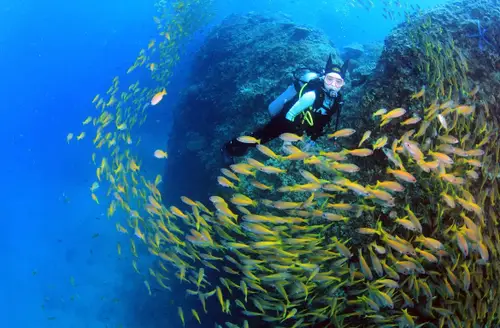 Phi Phi Island Discover Scuba Diving with PKT Diving
