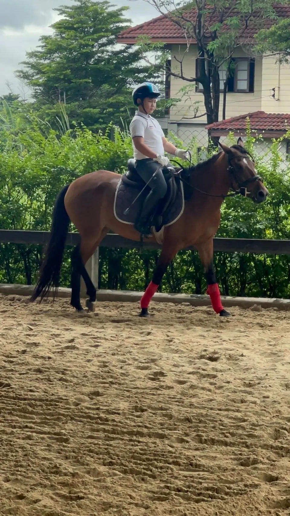 Rayong Horse Riding Experience at Chomview Horse Riding Club image 2