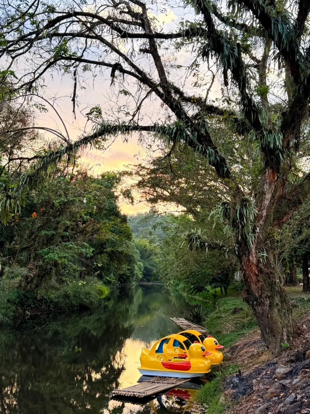 Adventure, Bamboo Rafting, Kayaking, Elephants, ATV, Paddle Boats image 1