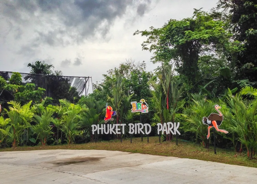 صورة Phuket bird park show رقم 2