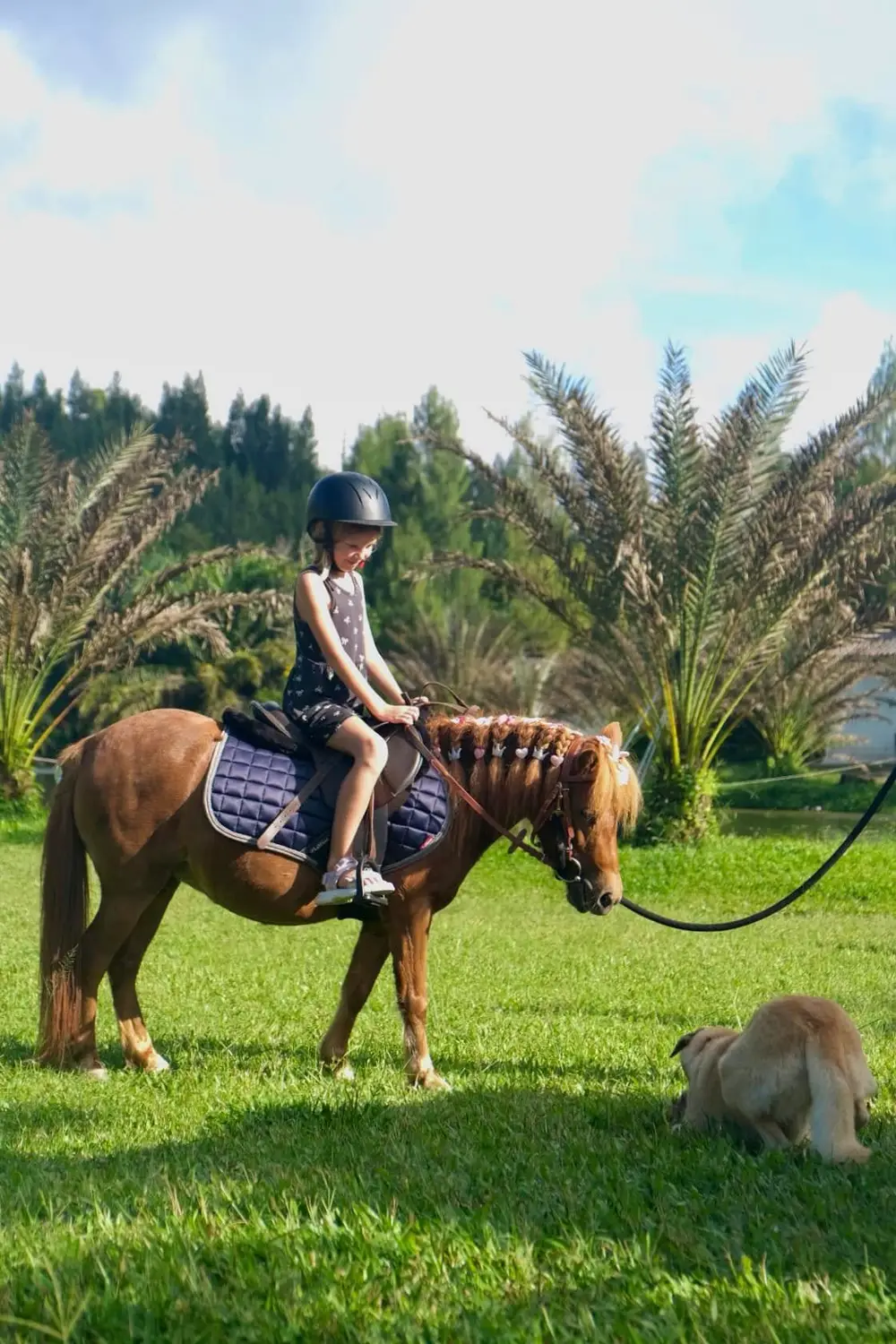صورة Hidden Lake Hill Horse Riding Experience in Koh Samui رقم 3