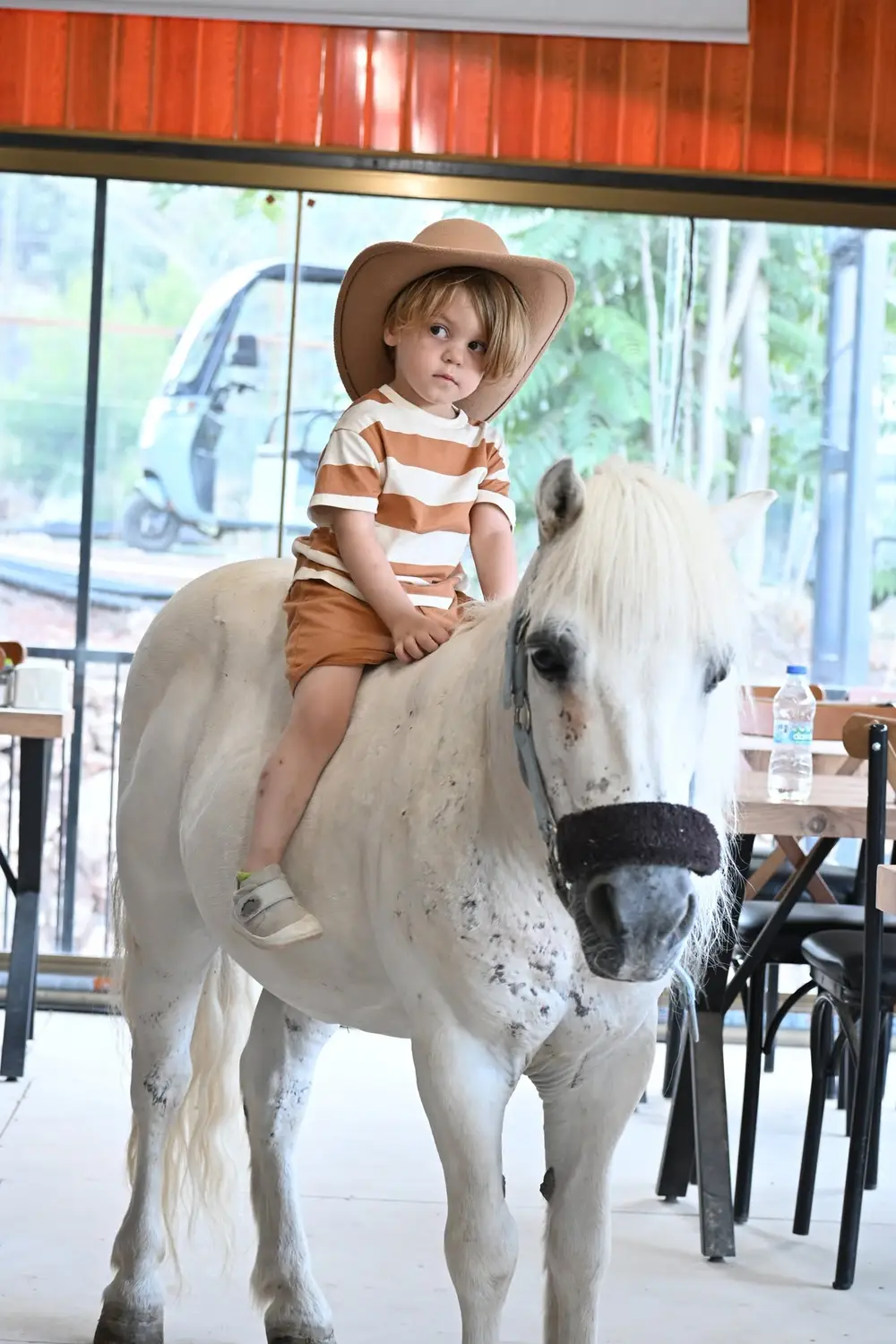 Antalya Horse and Pony Riding Experience at Rainbow Ranch Konyaalti image 1