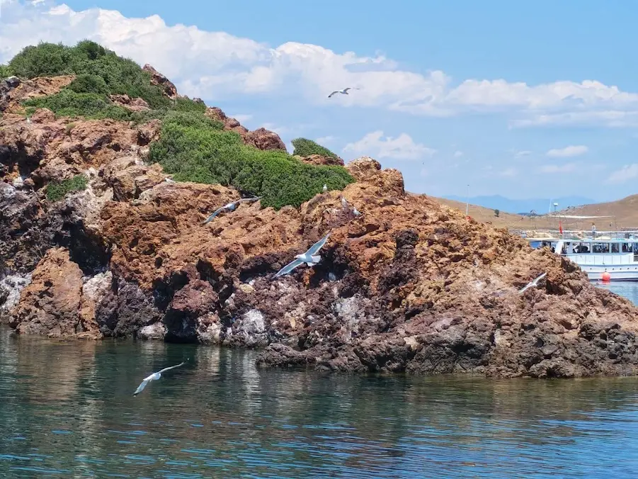 Ayvalik Islands Boat Tour with Lunch, Swimming and Music Bild 3