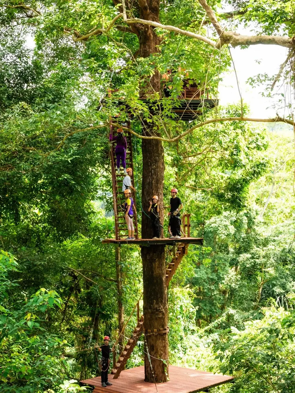Khao Lak Zipline and Roller Rock Jungle Experience image 2