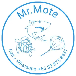 Mote Tour Longtail Boat | Phi Phi Island logo