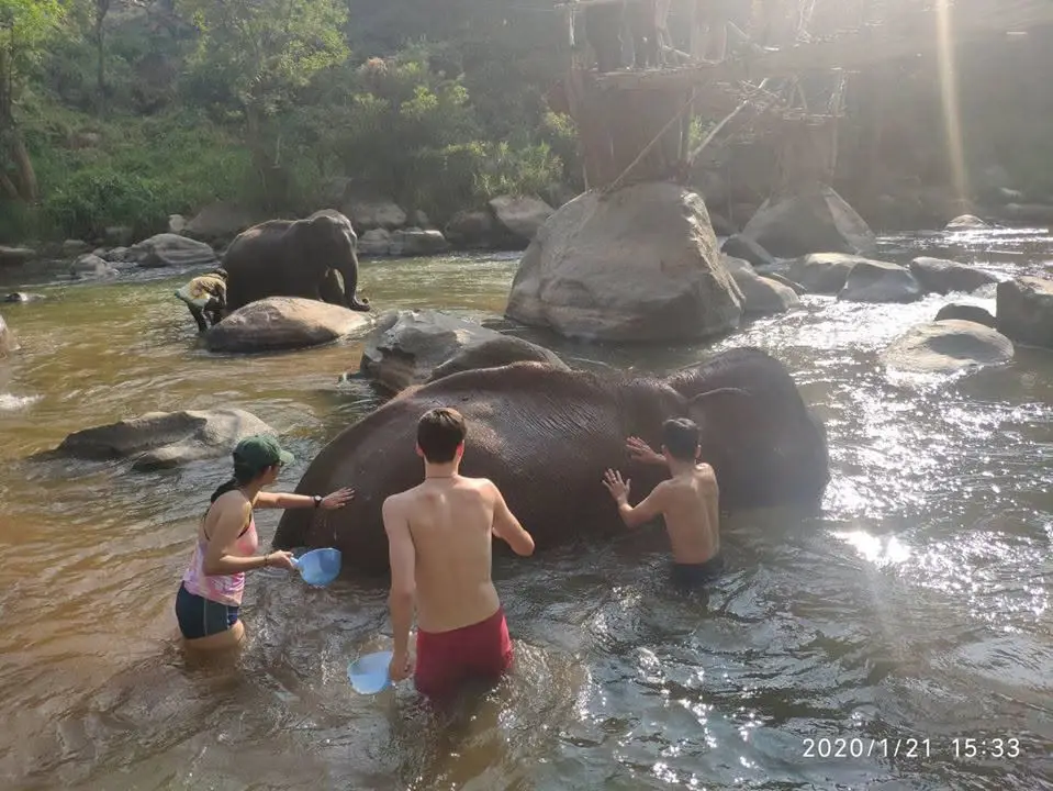 Chiang Mai Hill Tribe Jungle Trekking Trip with Piroon, Daily Or Multiday Trip görseli 3