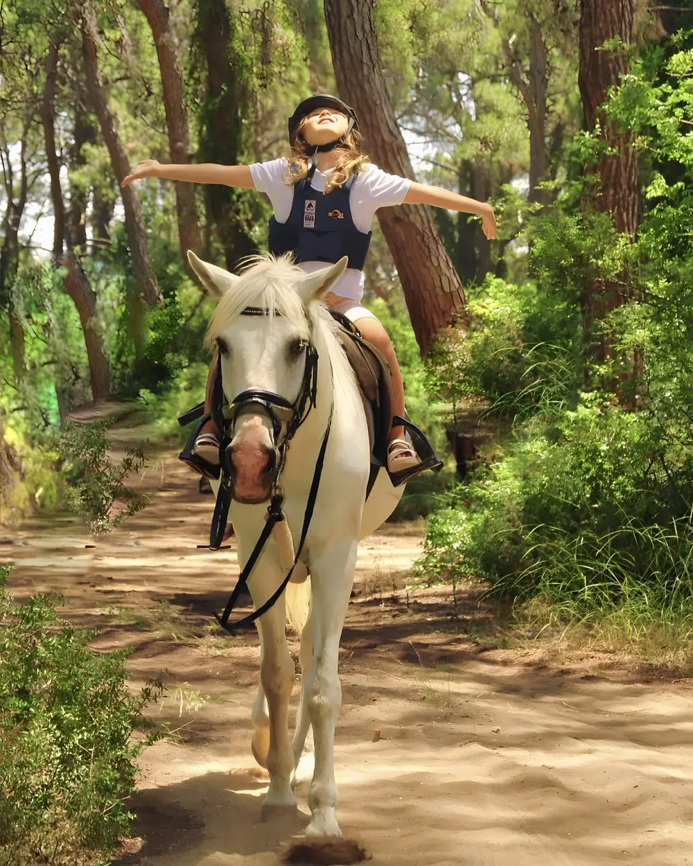 Side Horse Riding: Forest and Beach Ride at Pegasos Horse Club image 2