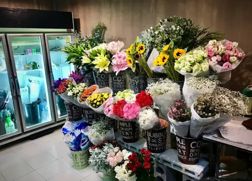 Zinnia the flower planner studio - Patong Phuket 