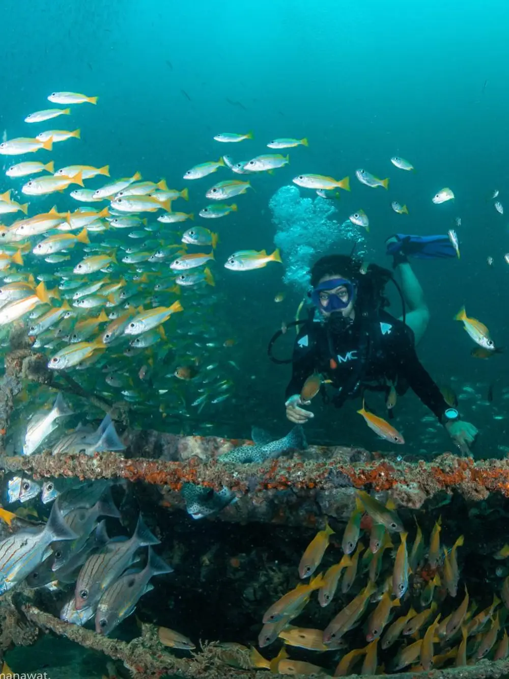 صورة اكتشف الغوص مع PADI من خلال PKT diveing رقم 2