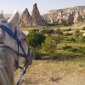 Horse Ranch Cappadocia logo
