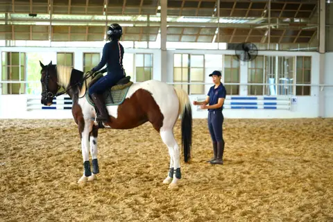 Basic Horse Riding Experience 2
