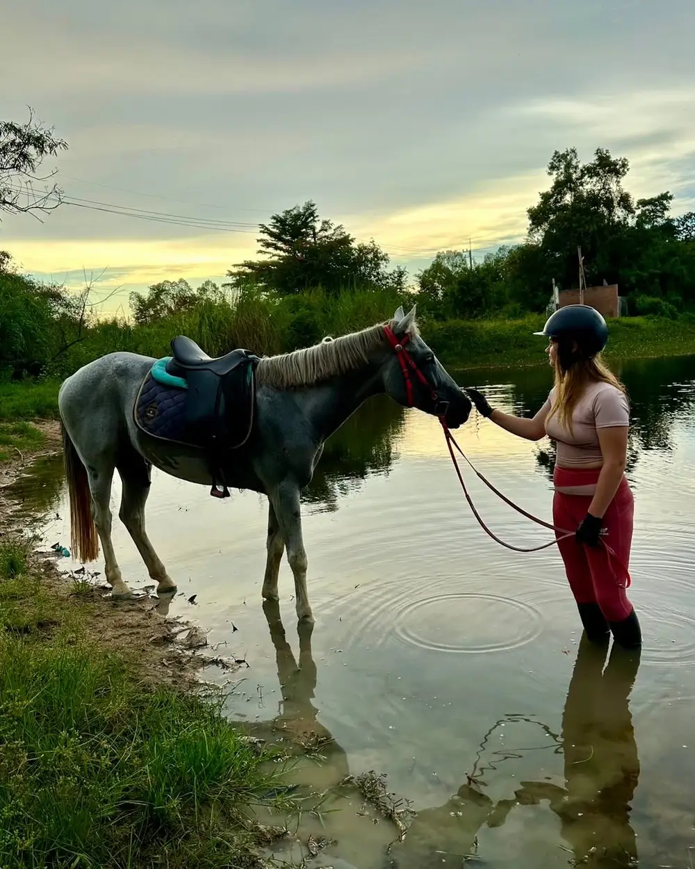 Pattaya Horseback Trail Riding Experience with Wind of Heaven image 2