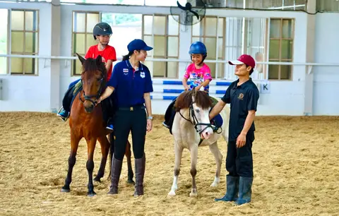 Basic Horse Riding Experience 1