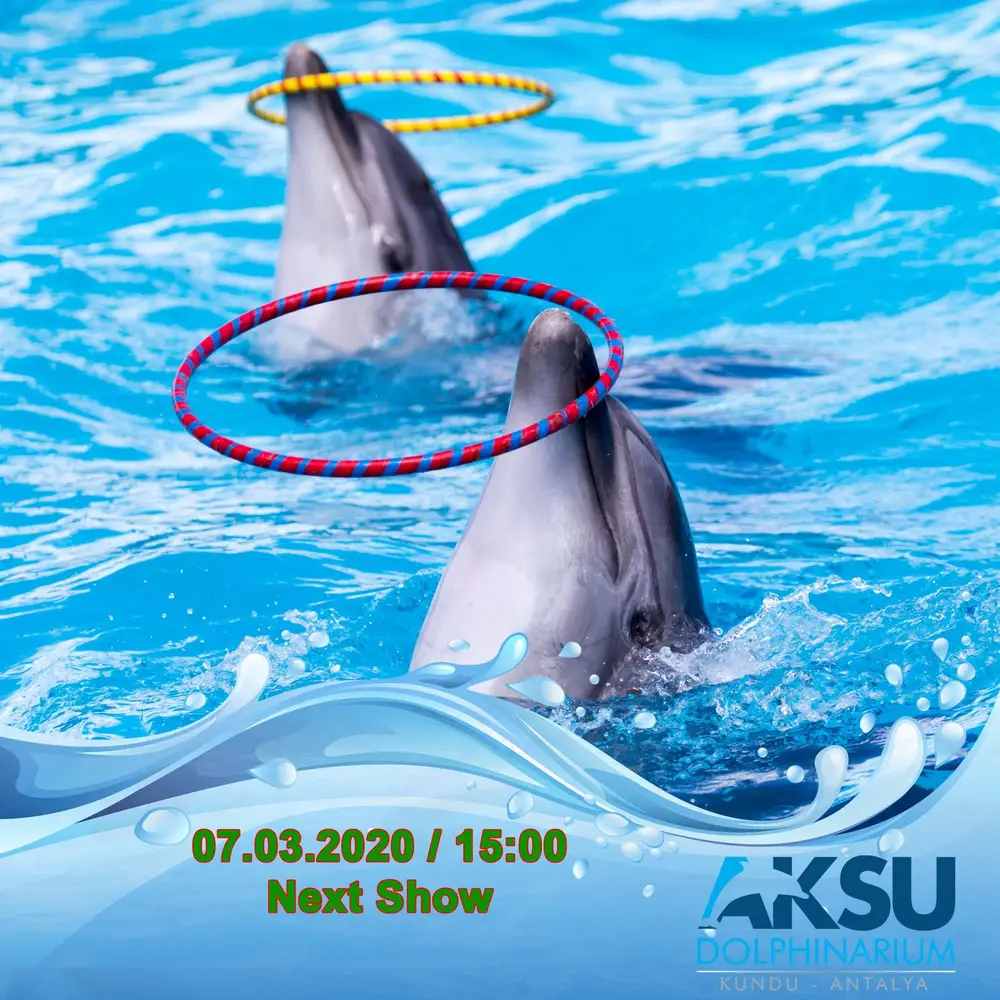 Imagen 3 de Antalya Aksu Dolphin and Seal Show Ticket with Reptile Zoo Entry