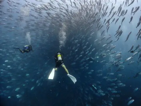 2 Fun Dives 1