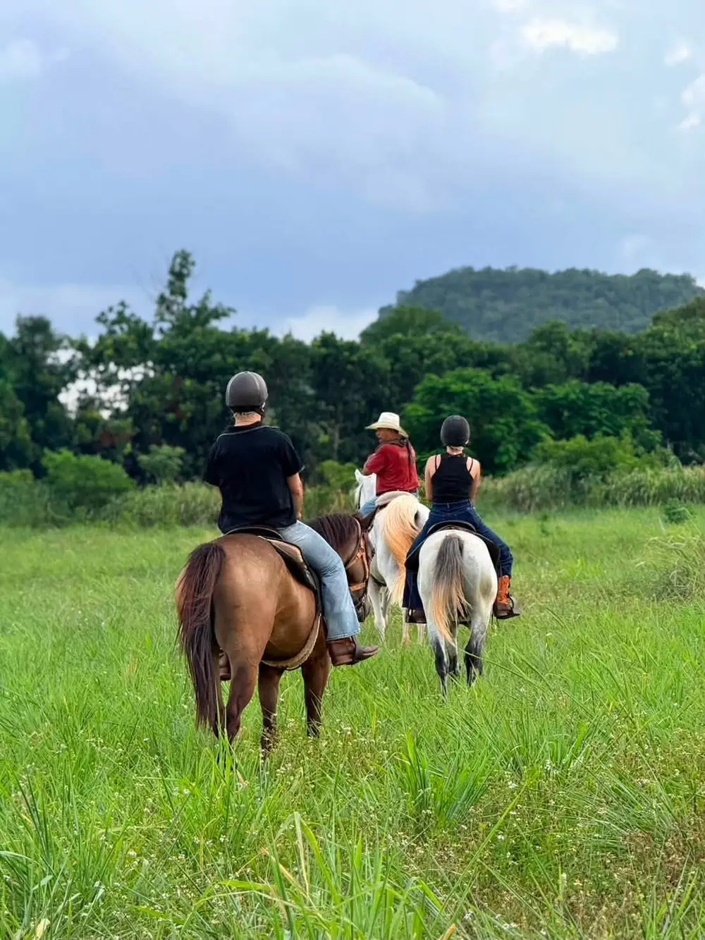 Khao Yai Western Horse Riding and Nature Trail Experience image 1