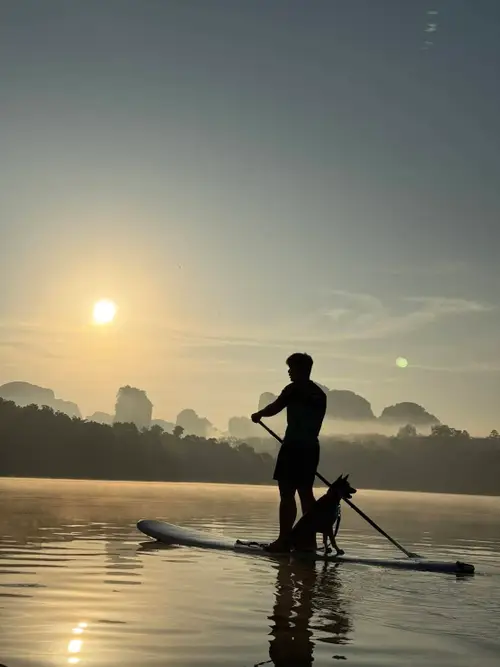 Learn to paddleboard for beginners 