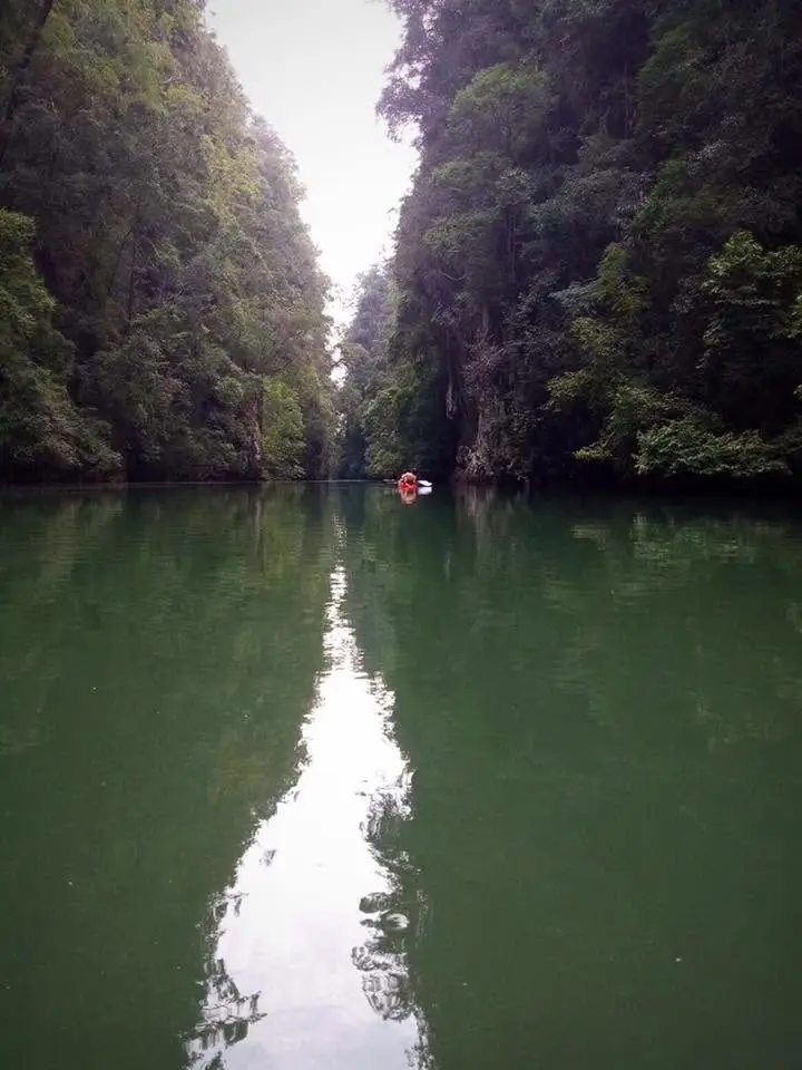 Karst Aways Krabi Small-Group Ao Thalane Mangrove Kayak Tour görseli 3