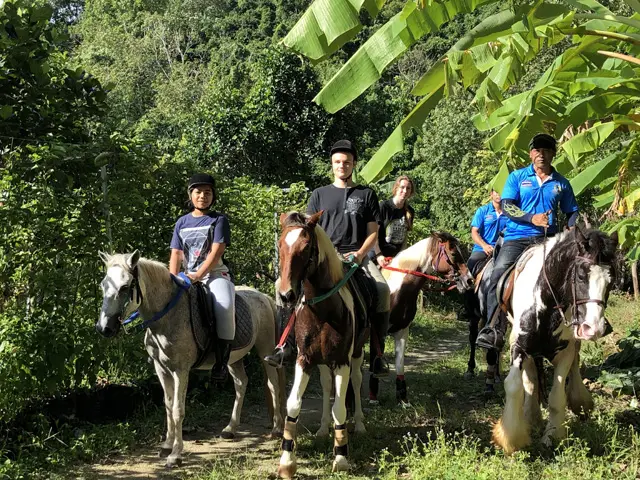 Reiten in Phuket durch Dschungelpfade und zu den Big Buddha Hills Bild 3
