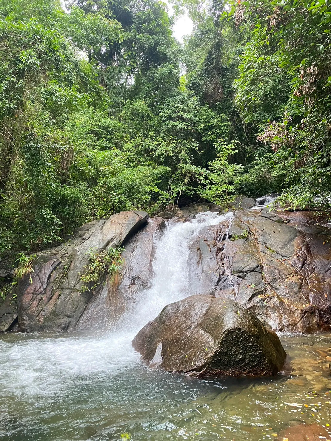 صورة Bamboo rafting رقم 3