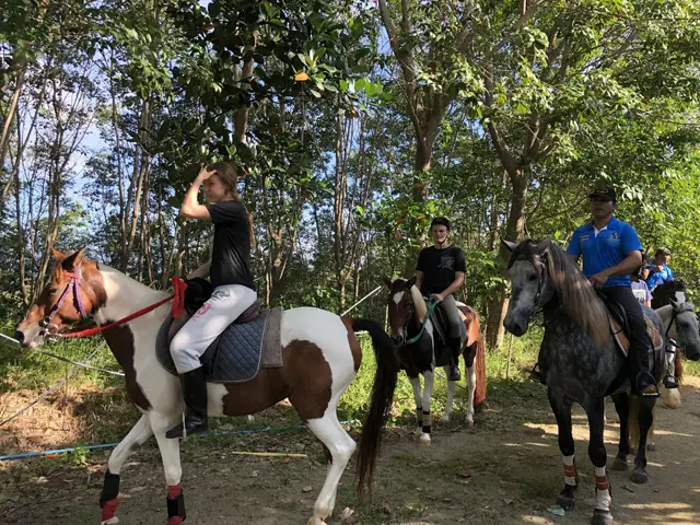 Reiten in Phuket durch Dschungelpfade und zu den Big Buddha Hills Bild 1