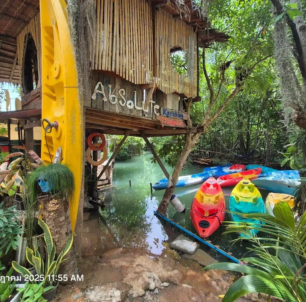 صورة Absolute Kayaking Mangrove Krabi Hidden Mangrove & Limestone Canyon Adventure رقم 2