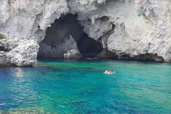 Dalyan Ege Kaptan Private Boat Tours | Iztuzu, Ekincik and Dalyan River image 3