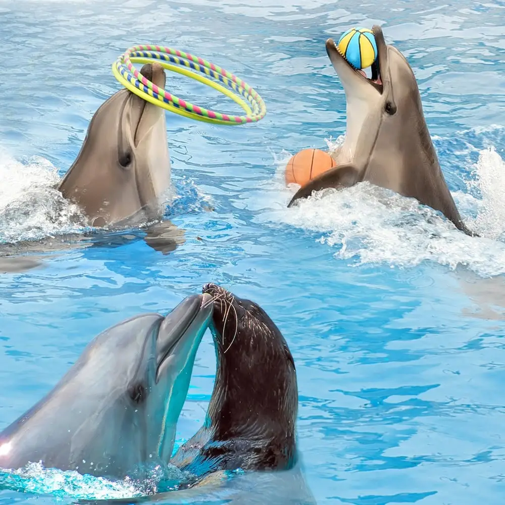 Imagen 1 de Antalya Aksu Dolphin and Seal Show Ticket with Reptile Zoo Entry