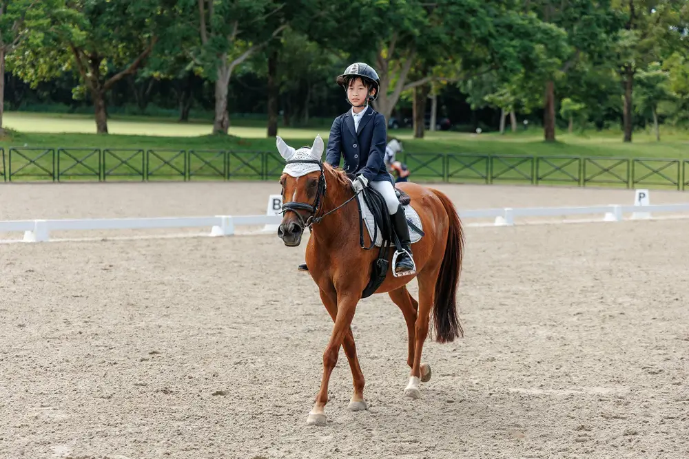 Pattaya Pony and Horse Riding Experience at Pipo Pony Club image 3